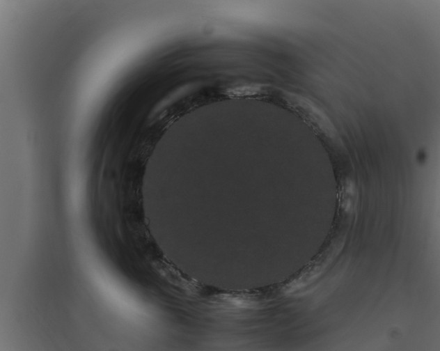 X0000094820763200711241508