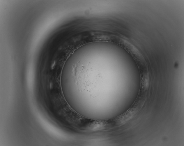 X0000094820764200711241508