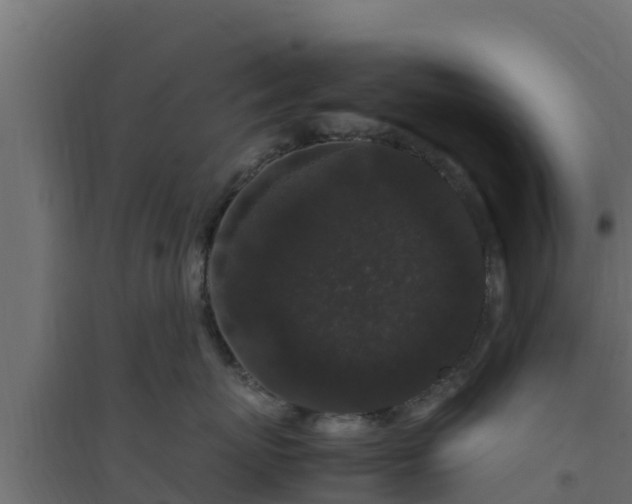 X0000094820767200711241508