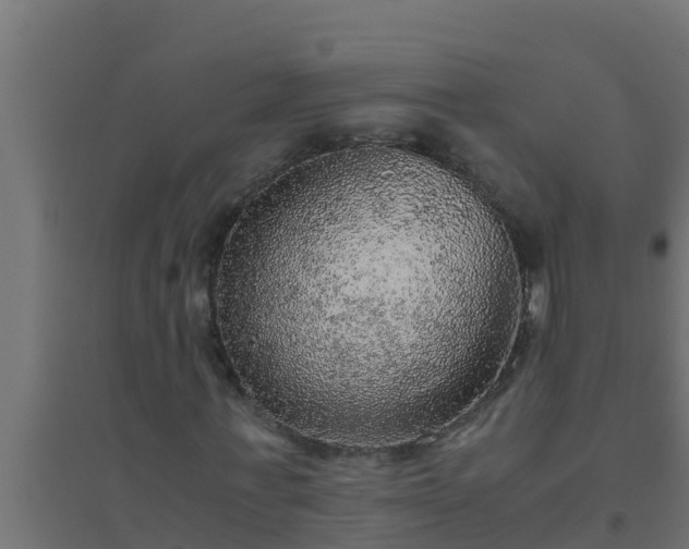 X0000094820771200711241507