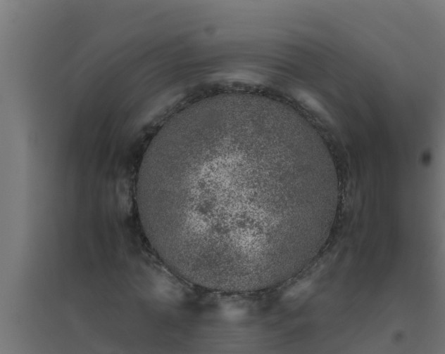 X0000094820774200711241507