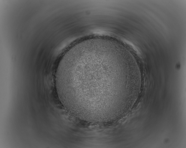 X0000094820776200711241507