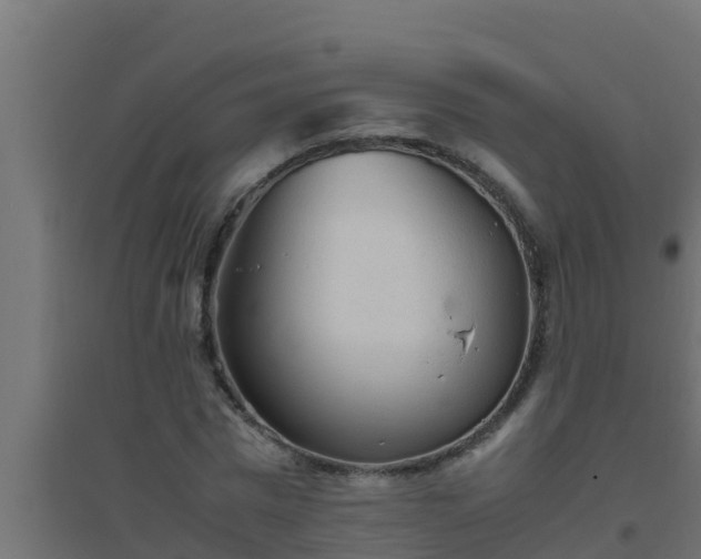 X0000094820777200711241507
