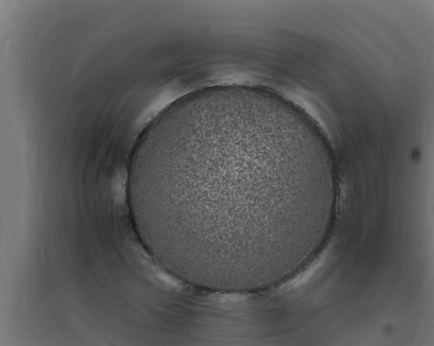 X0000094820778200711241507