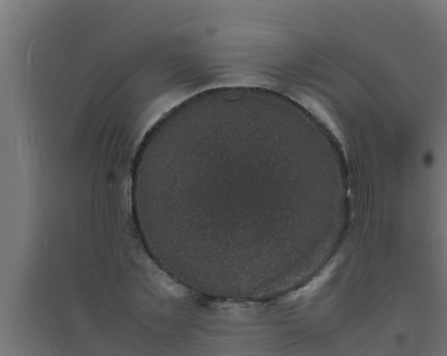 X0000094820781200711241507