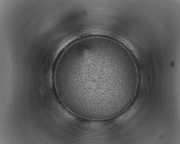 X0000094820782200711241507