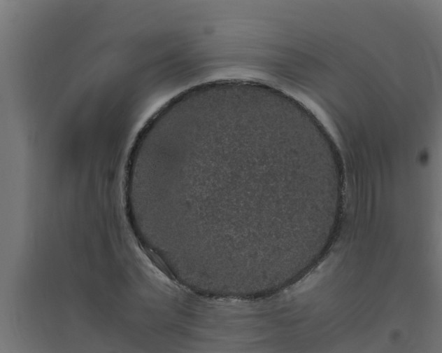 X0000094820783200711241507
