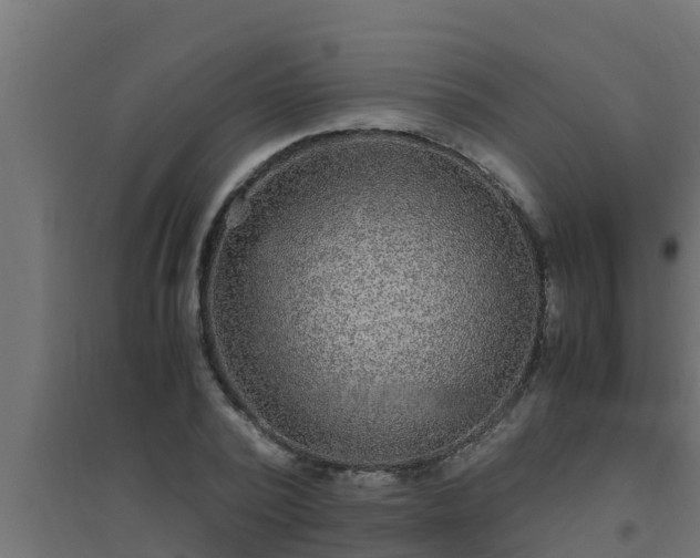 X0000094820784200711241507
