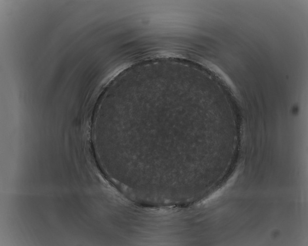 X0000094820785200711241507