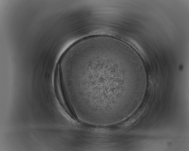 X0000094820788200711241507