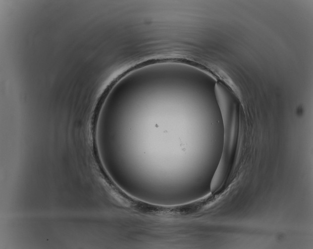 X0000094820789200711241507