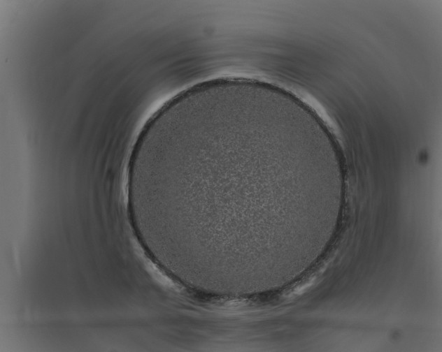 X0000094820791200711241507