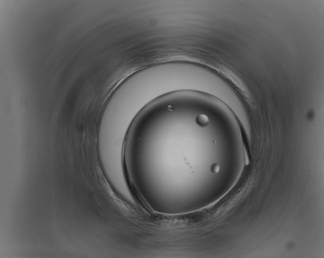 X0000094820793200711241507