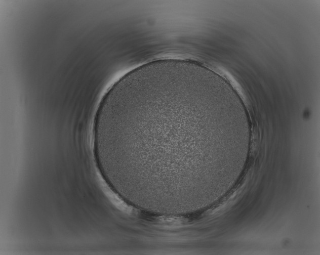 X0000094820795200711241507