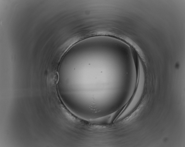 X0000094820801200711241507