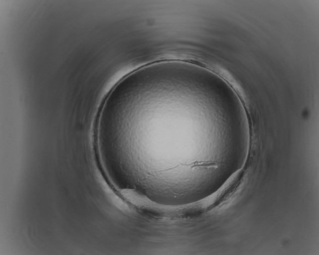 X0000094820803200711241507