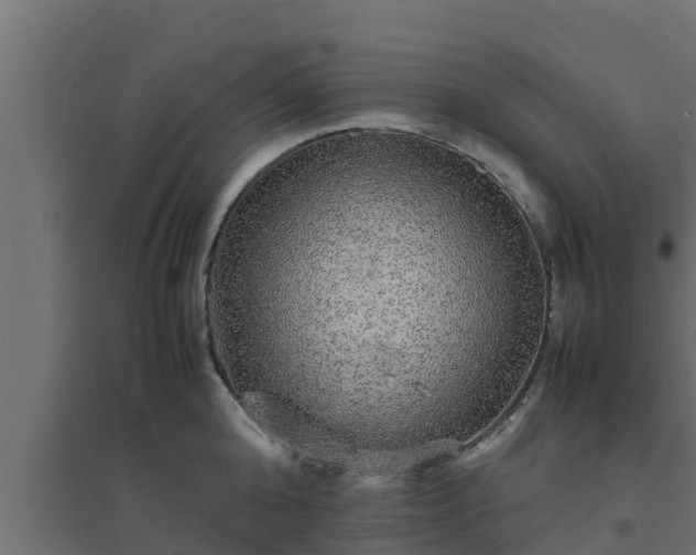 X0000094820808200711241507