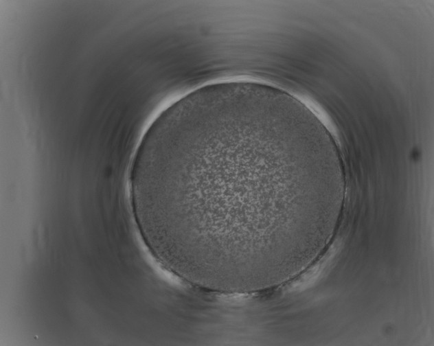 X0000094820813200711241507