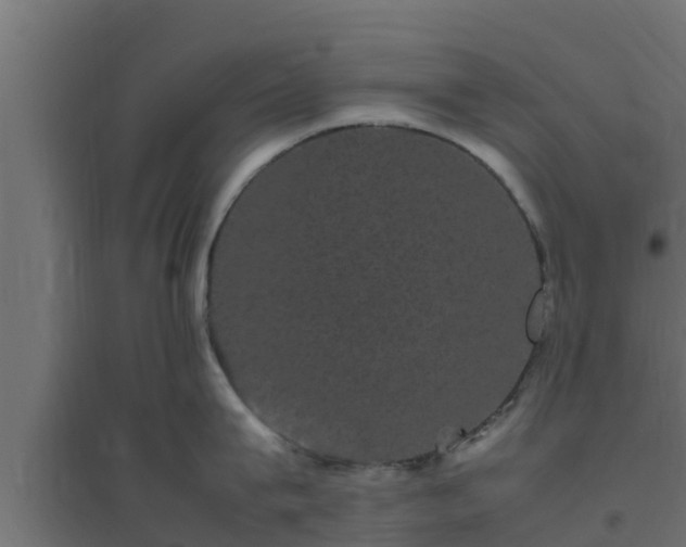 X0000094820815200711241507