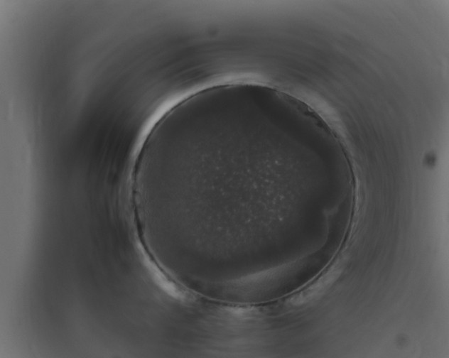 X0000094820816200711241507