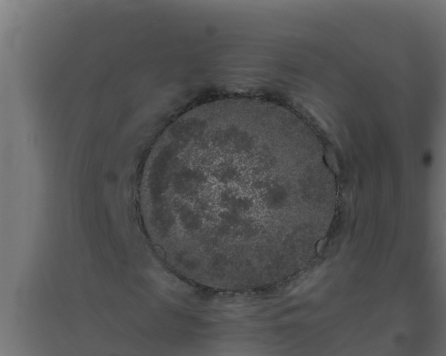 X0000094820817200711241506