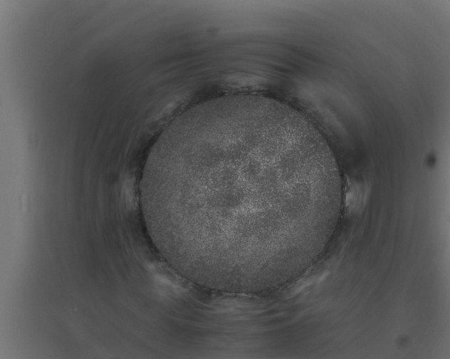 X0000094820819200711241506