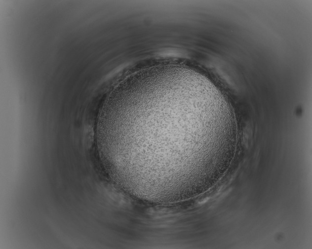 X0000094820821200711241506