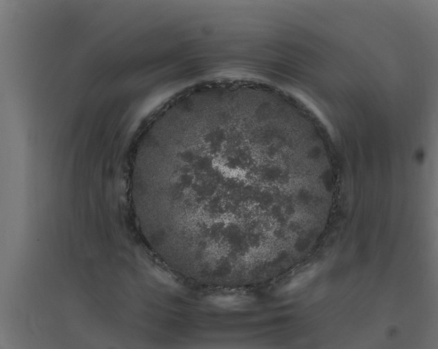 X0000094820823200711241506