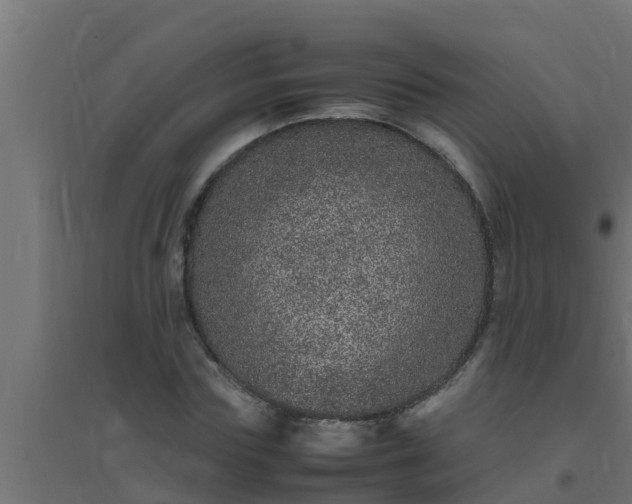 X0000094820827200711241506
