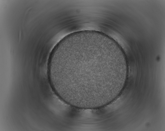 X0000094820828200711241506