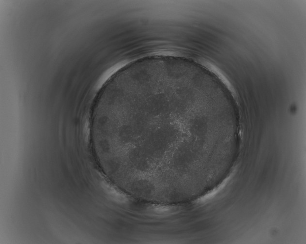 X0000094820829200711241506