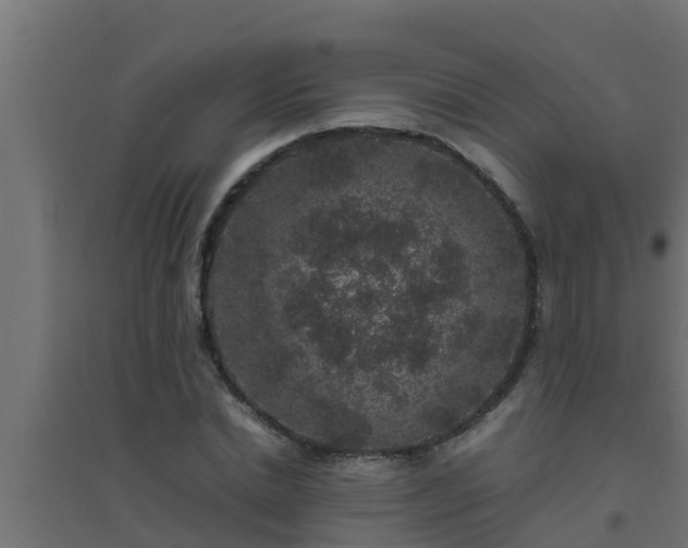 X0000094820830200711241506