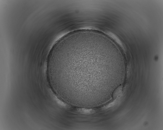 X0000094820831200711241506