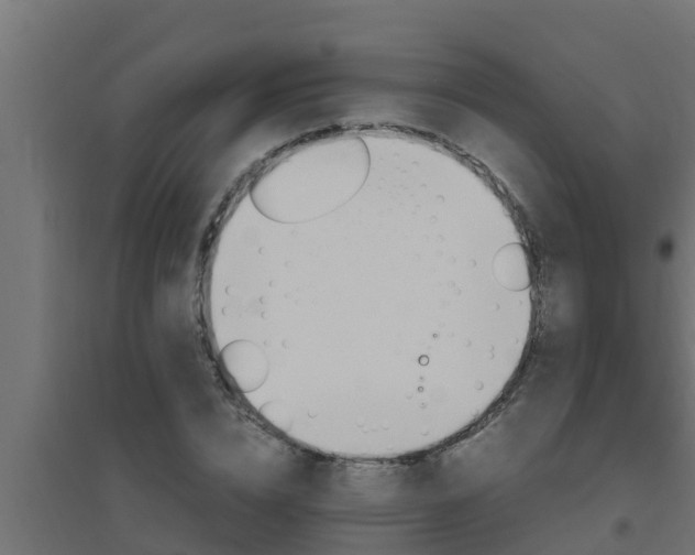 X0000094820832200711241506
