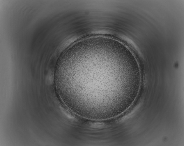 X0000094820833200711241506