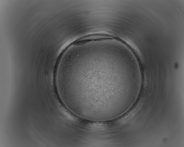 X0000094820834200711241506