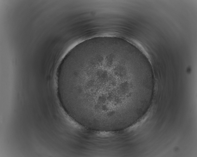 X0000094820835200711241506