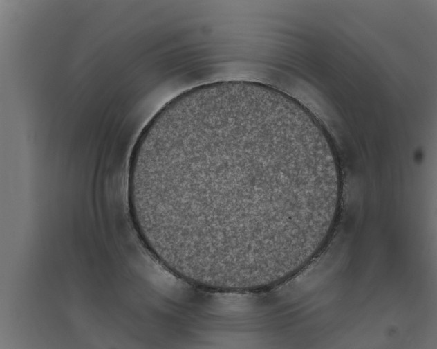 X0000094820836200711241506