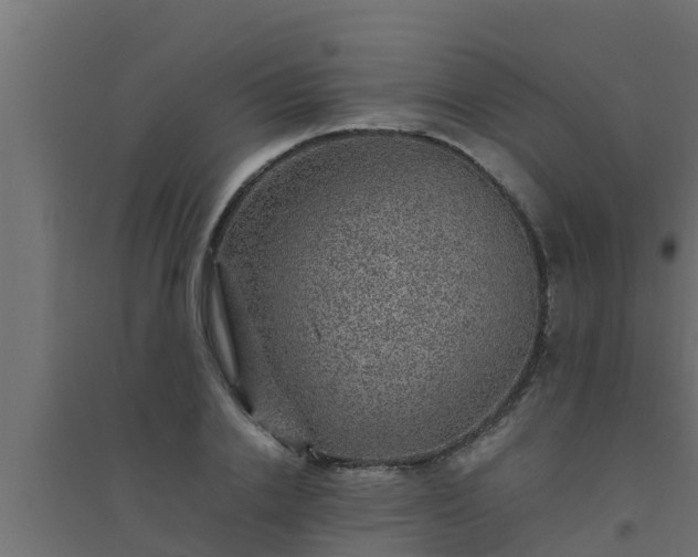 X0000094820838200711241506