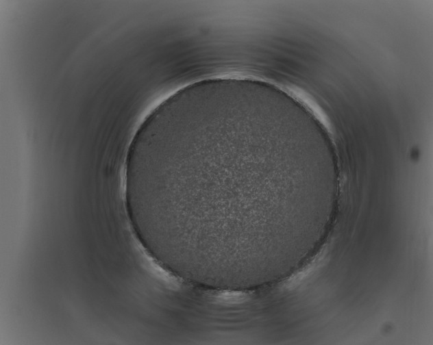 X0000094820839200711241506
