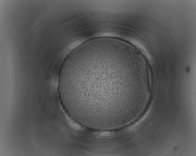 X0000094820841200711241506
