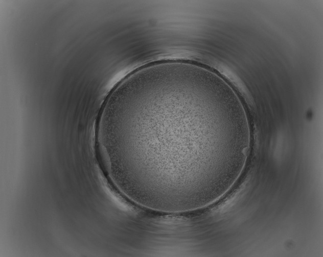X0000094820842200711241506
