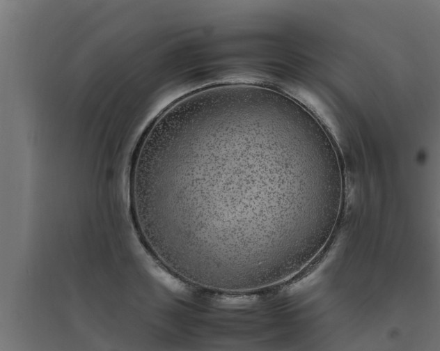 X0000094820843200711241506