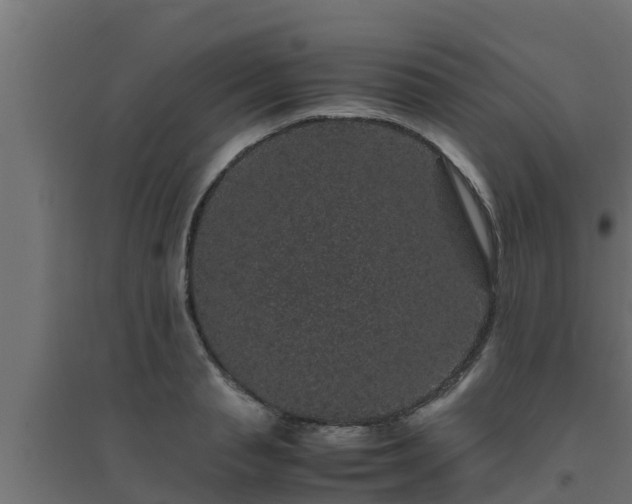 X0000094820845200711241506