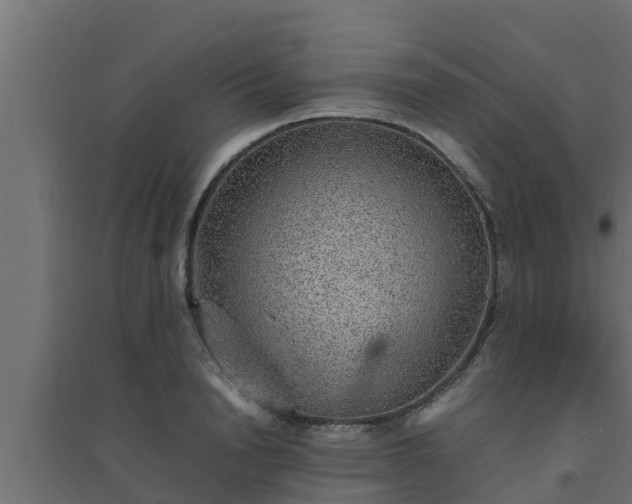 X0000094820846200711241506