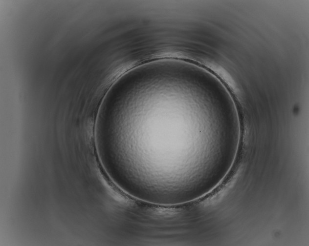 X0000094820849200711241506