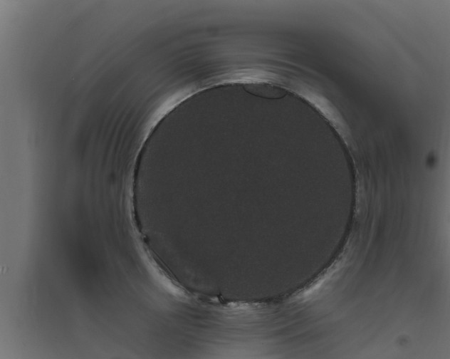 X0000094820850200711241506