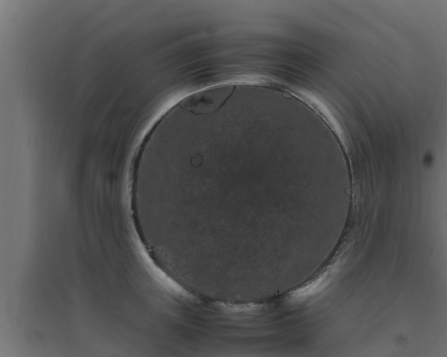 X0000094820851200711241506