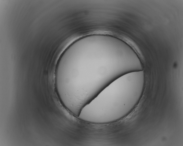 X0000094820852200711241506
