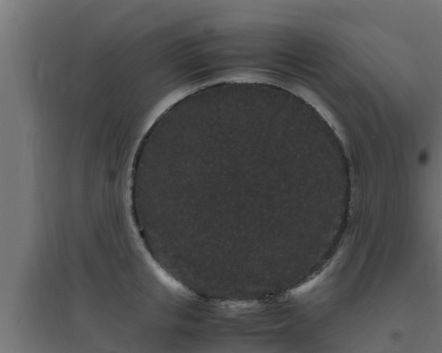X0000094820853200711241506